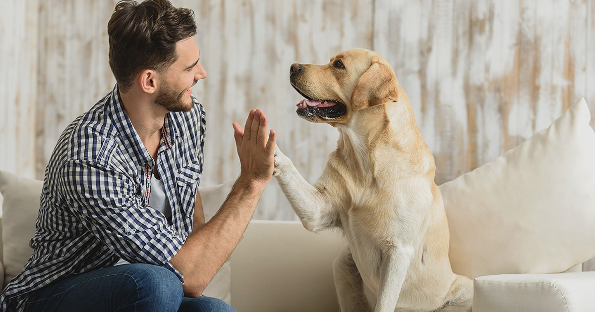 Image of dog and pet sitter in home together