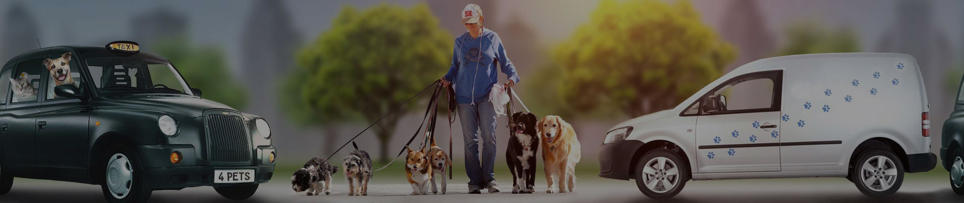 Pet Business International