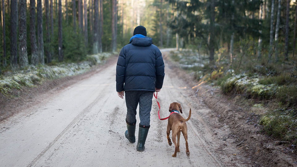 Man and Dog in a Forest
